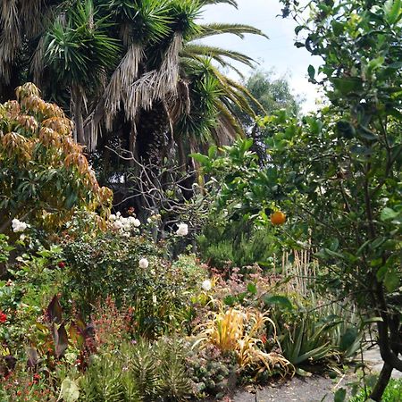 La Casita Del Jardinero Villa Los Llanos De Aridane Buitenkant foto