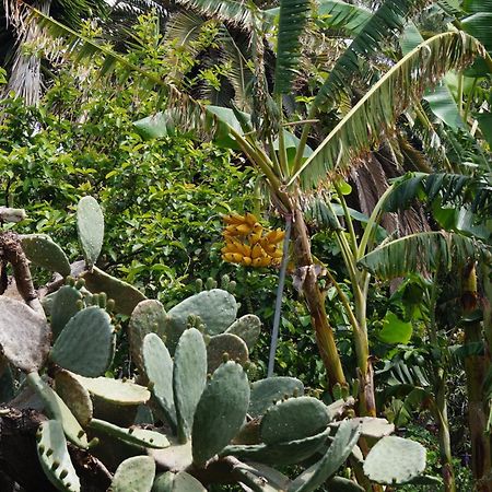 La Casita Del Jardinero Villa Los Llanos De Aridane Buitenkant foto
