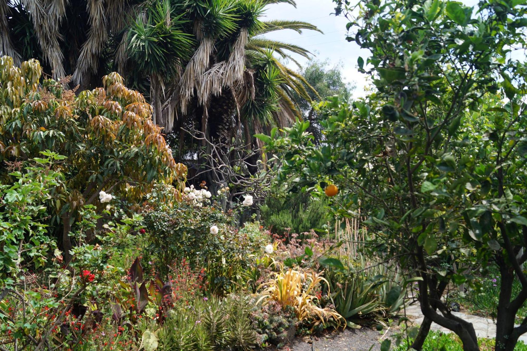 La Casita Del Jardinero Villa Los Llanos De Aridane Buitenkant foto